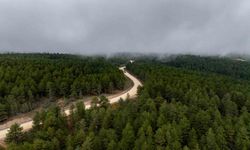 Demirci Söğütçük'te 11 kilometrelik yol için çalışma başladı