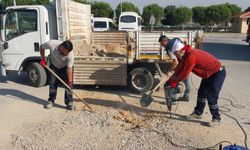 Şehzadeler'de olumsuzluklara hızlı müdahale