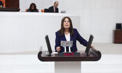 Manisa’da zeytincilik can çekişiyor