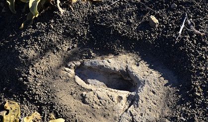 Binlerce yıllık tarihin gönüllü koruyucusu