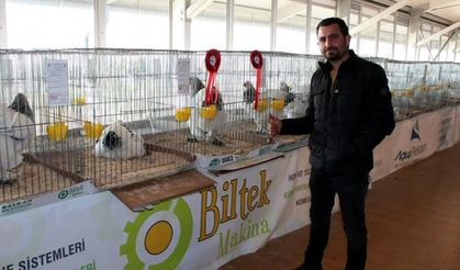 Bu tavuklar 5 bin lira