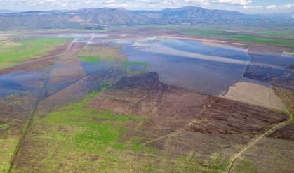 Kuruyan Marmara Gölünde umutlandıran görüntü