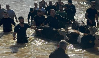 Taşan Gediz Nehri dolayısıyla mahsur kalan 44 kişi ve 127 hayvan kurtarıldı