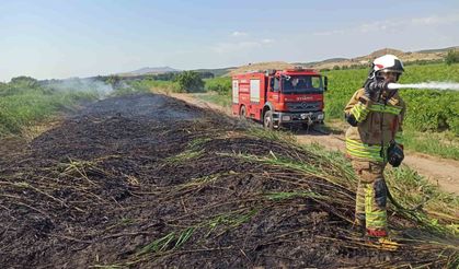 Aşırı sıcaklar Manisa'yı ateş çemberine çevirdi