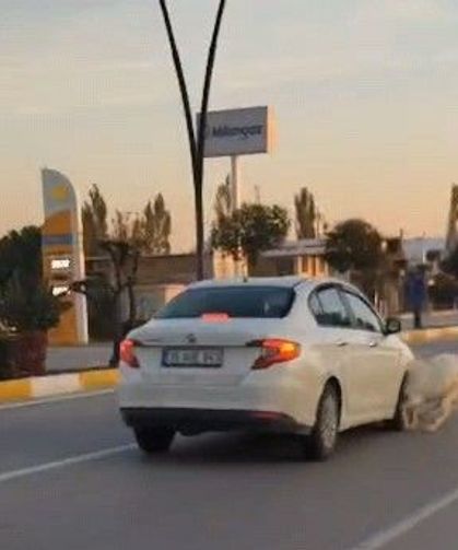Karayoluna fırlayan 3 keçi aracın çarpması sonucu telef oldu