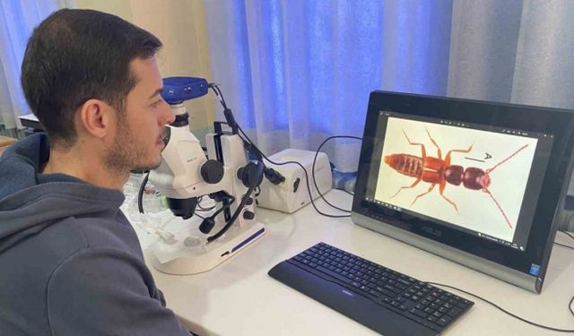 Bilim dünyasını heyecanlandıran keşif