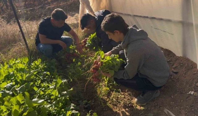 Bu okulda dersler tarlada işleniyor