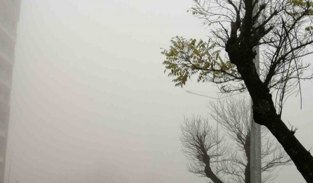 Manisa’da yoğun sis etkili oluyor