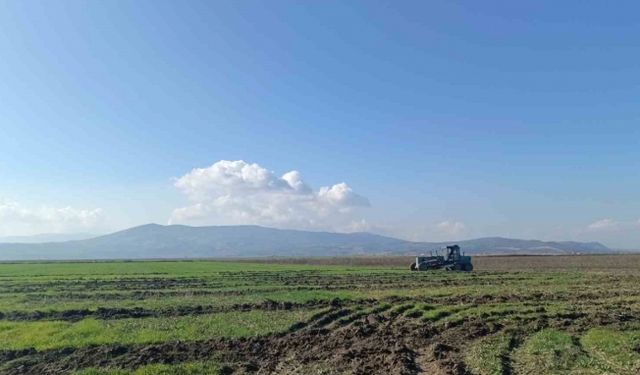 Marmara Gölü’ndeki izinsiz ekili alanlara müdahale