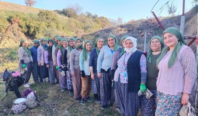 Kadınlar gününü üzüm bağında kutladılar