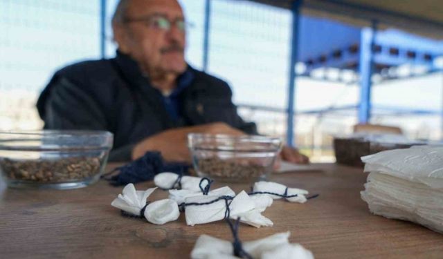 Peçetede saklı umutlar, doğada filizlenecek