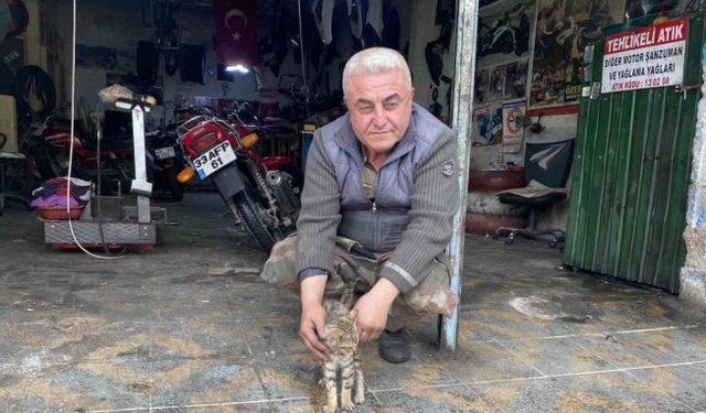 Manisalı esnafın duyarlılığı bir kediyi hayata bağladı