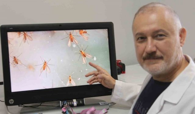 Uzmanlardan ’Yakarca’ uyarısı