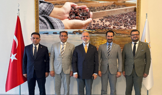 TMO üzüm alımlarına başlıyor, 30 günde yatacak!