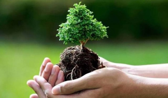 Manisa'da 26 bin fidan toprakla buluşacak