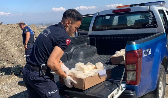 Manisa’da 49 kilo bozuk peynir imha edildi