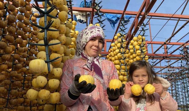 Alaşehir’de ilk kez ’Cennet Hurması Festivali’ düzenlenecek