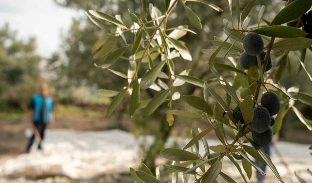 Denetimli Serbestlik Yükümlülerine anlamlı görev