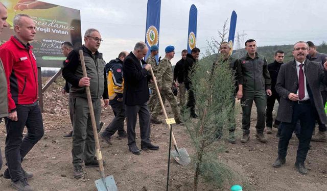 Manisa’da 2025 sonuna kadar 3,1 milyon fidan toprakla buluşacak