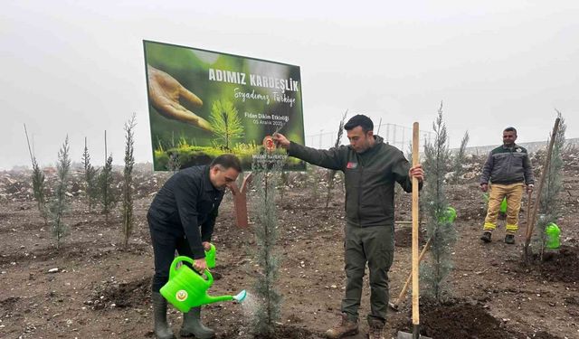 Baybatur’dan yanan orman alanlarına bin fidan