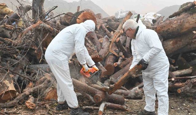 Budanan ağaç dalları ihtiyaç sahiplerini ısıtıyor