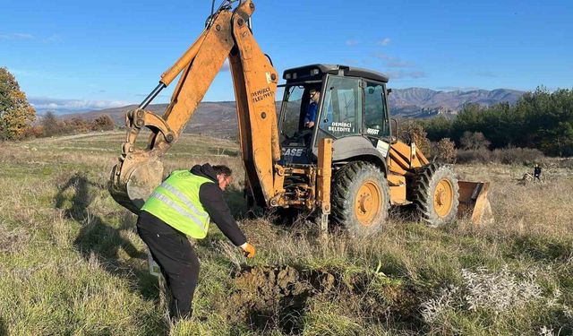 Demirci’de atıl araziler tarıma kazandırılıyor