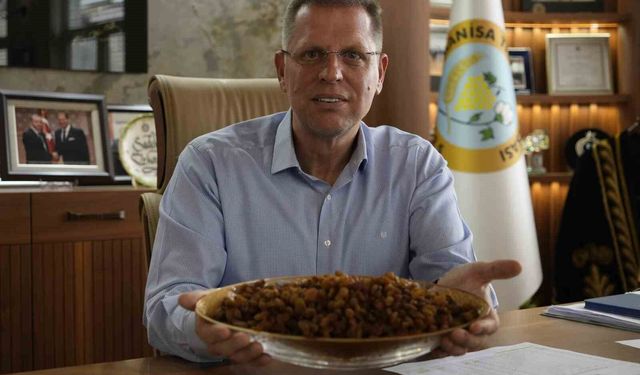 Dünyaca ünlü Manisa Çekirdeksiz Sultaniye Üzümü AB tesciline gün sayıyor