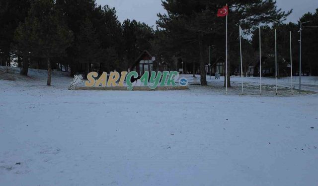 Manisa'da yüksek kesimlerde kar yağışı etkili oldu