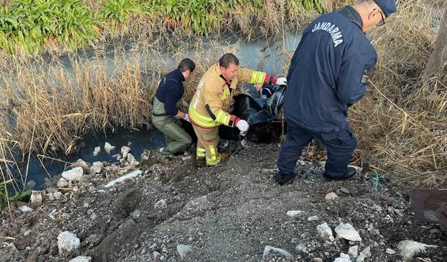 Kayıp olarak aranan yaşlı adam dere yatağında ölü bulundu