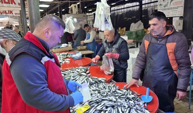 Sarıgöl'de balık tezgahlarına sıkı denetim