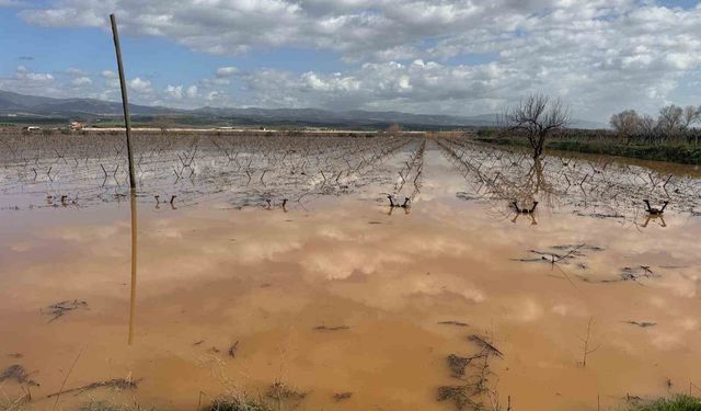 Manisa'da nehir taştı, mahsur kalan vatandaşlar traktörlerle kurtarıldı