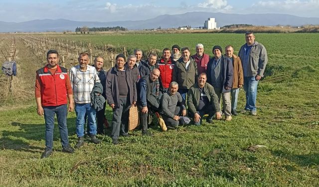 Salihli'de üreticilere budama ve gübreleme eğitimi