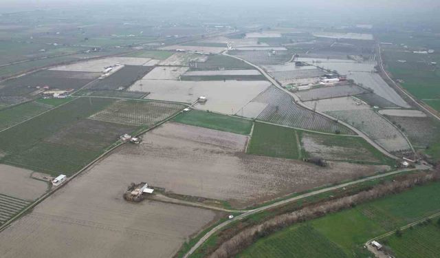 Yağışlar çiftçiyi umutlandırdı