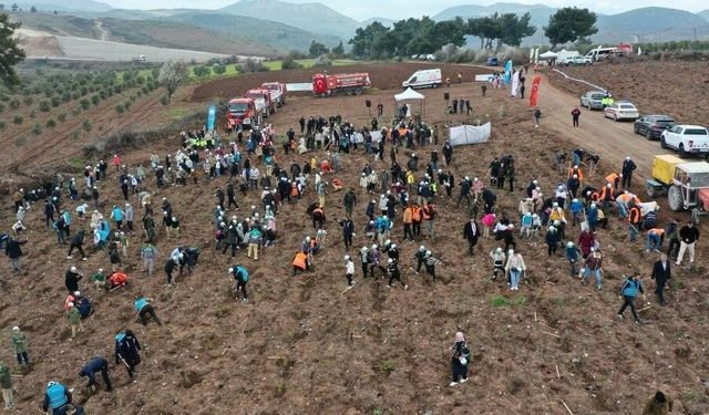 Manisa'da Orman Haftası'nda binlerce fidan toprakla buluştu