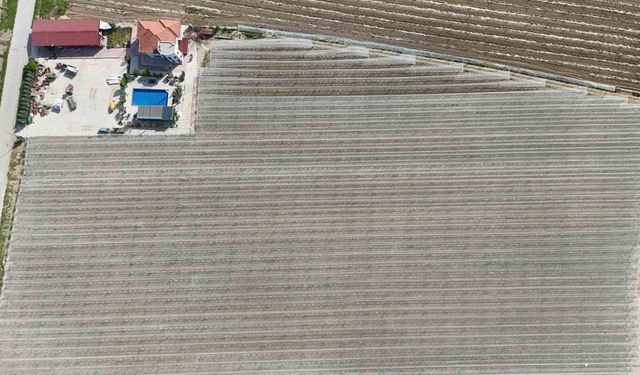 Kadın girişimciden tarımda akılcı çözüm