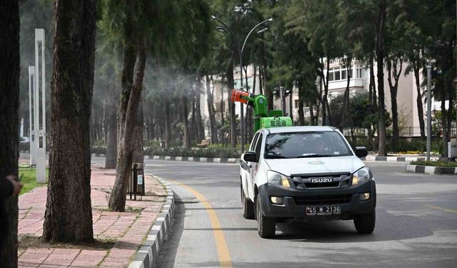 Manisa'da sineklere geçit yok