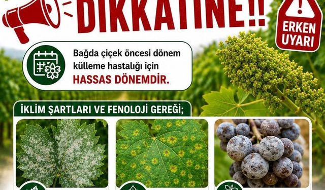 Bağlarda üreticilere ilaçlama uyarısı