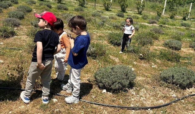 Yunusemreli minikler Ortaköy'de doğayla buluştu