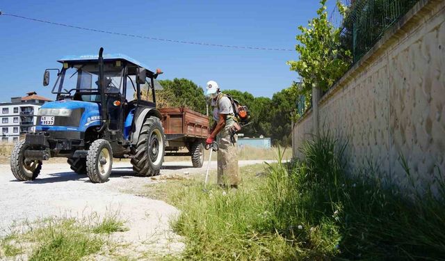 Karaali'de yol kenarları temizlendi