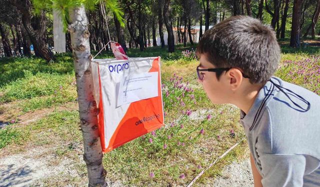 Manisa'da Siyer-i Nebi Oryantiring Yarışması düzenlendi