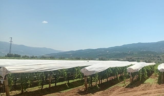 Sarıgöl Ovası beyaza bürünmeye başladı