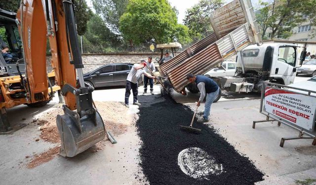 Şehzadeler'de taleplerin yüzde 81'i çözüldü