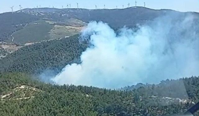 Soma'daki orman yangınına havadan ve karadan müdahale başladı