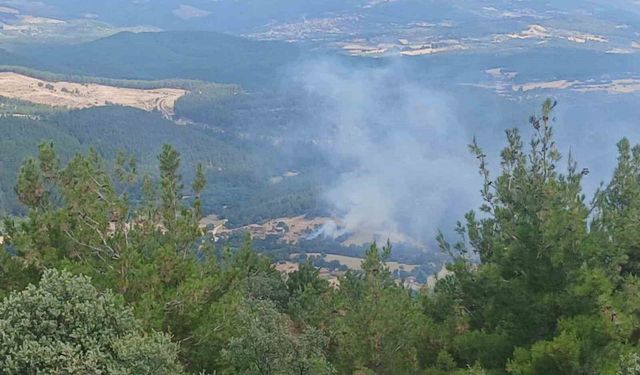 Ahırda çıkan yangın ormana sıçradı, büyümeden söndürüldü