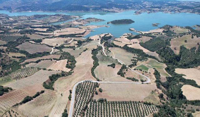 Baraj çevresi bal ormanına dönüşüyor