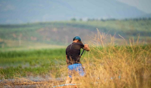 Flamingoları havalandıran SUP keyfi cezayla bitti