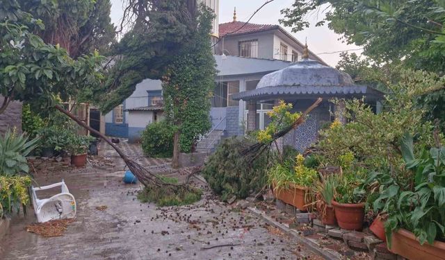 Kırkağaç'ta fırtına hayatı olumsuz etkiledi