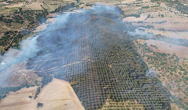 Ormanlık alanda yangın: 15 hektar alan küle döndü