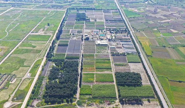 Yeşil vatan için fidan seferberliği sürüyor