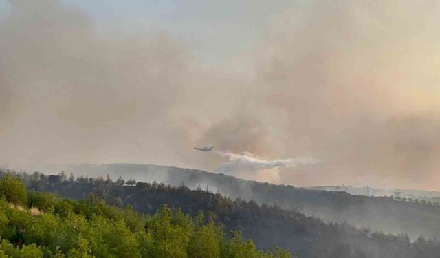 Kula'daki orman yangınına havadan ve karadan müdahale sürüyor